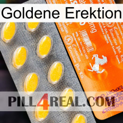 Golden Erection new05